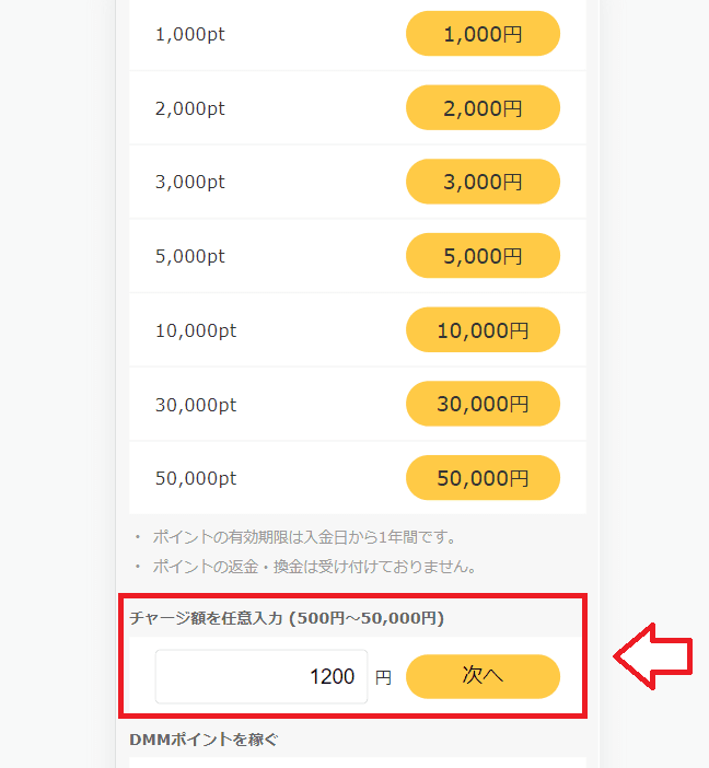 paypayや楽天pay、d払いでDMMポイントを購入する手順4