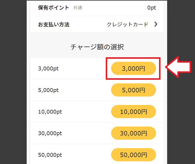 FANZAライブチャットクレジットカードでの支払い1