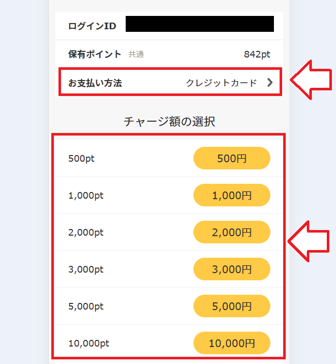 バンドルカードでDMMポイントチャージする手順4